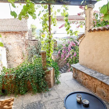 Guest house George's 3*